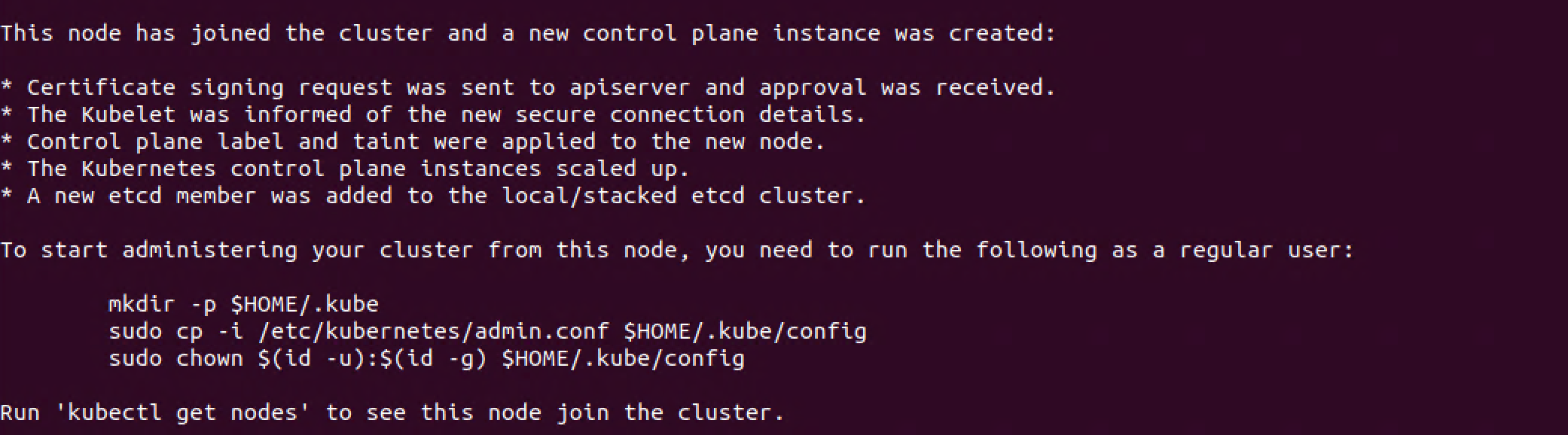 New control plane node joined to the cluster