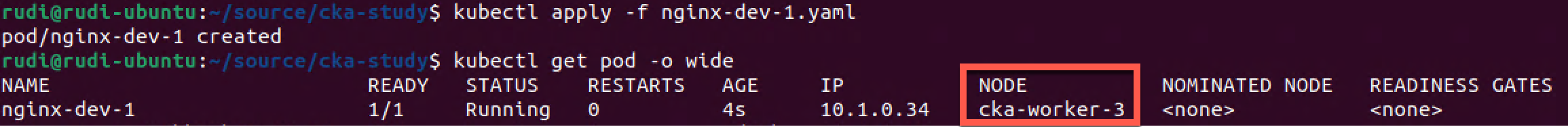 Dev pod scheduled on dev labeled node