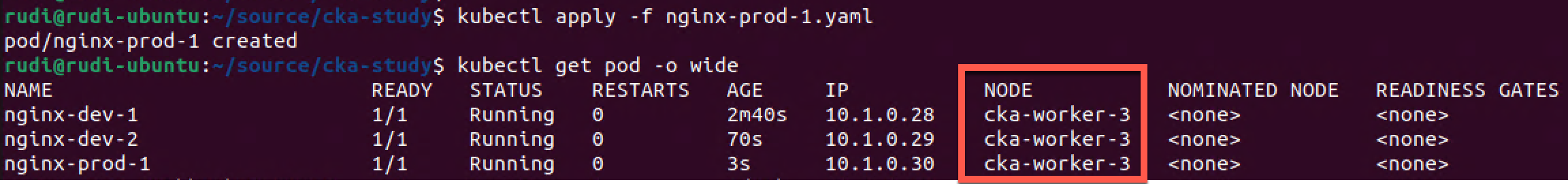 First nginx prod pod scheduled