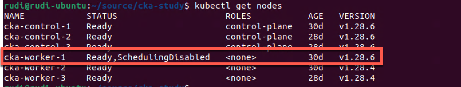 Cluster status after upgrading kubelet on worker node