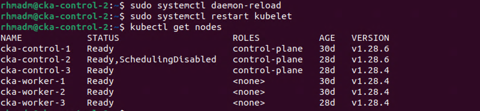 Restart kubelet and check cluster