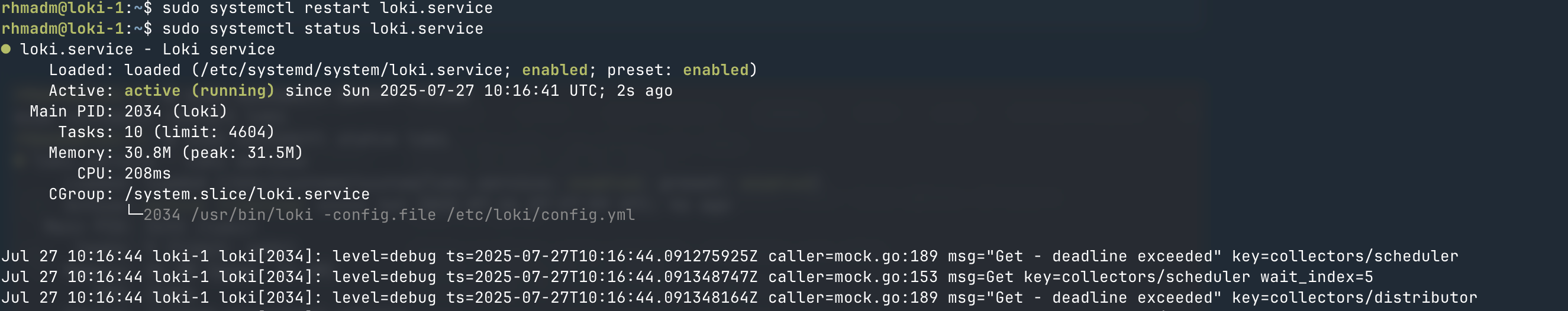 Start Loki service