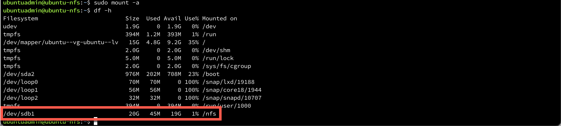 Mount disk and verify