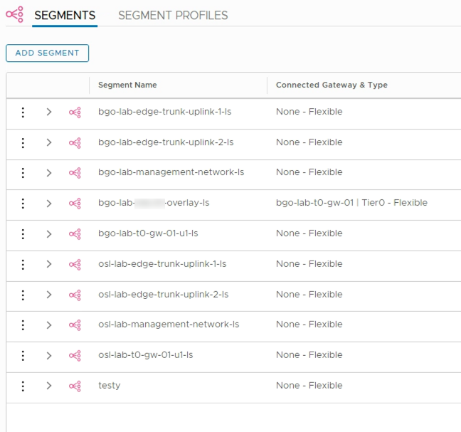 NSX-T segments