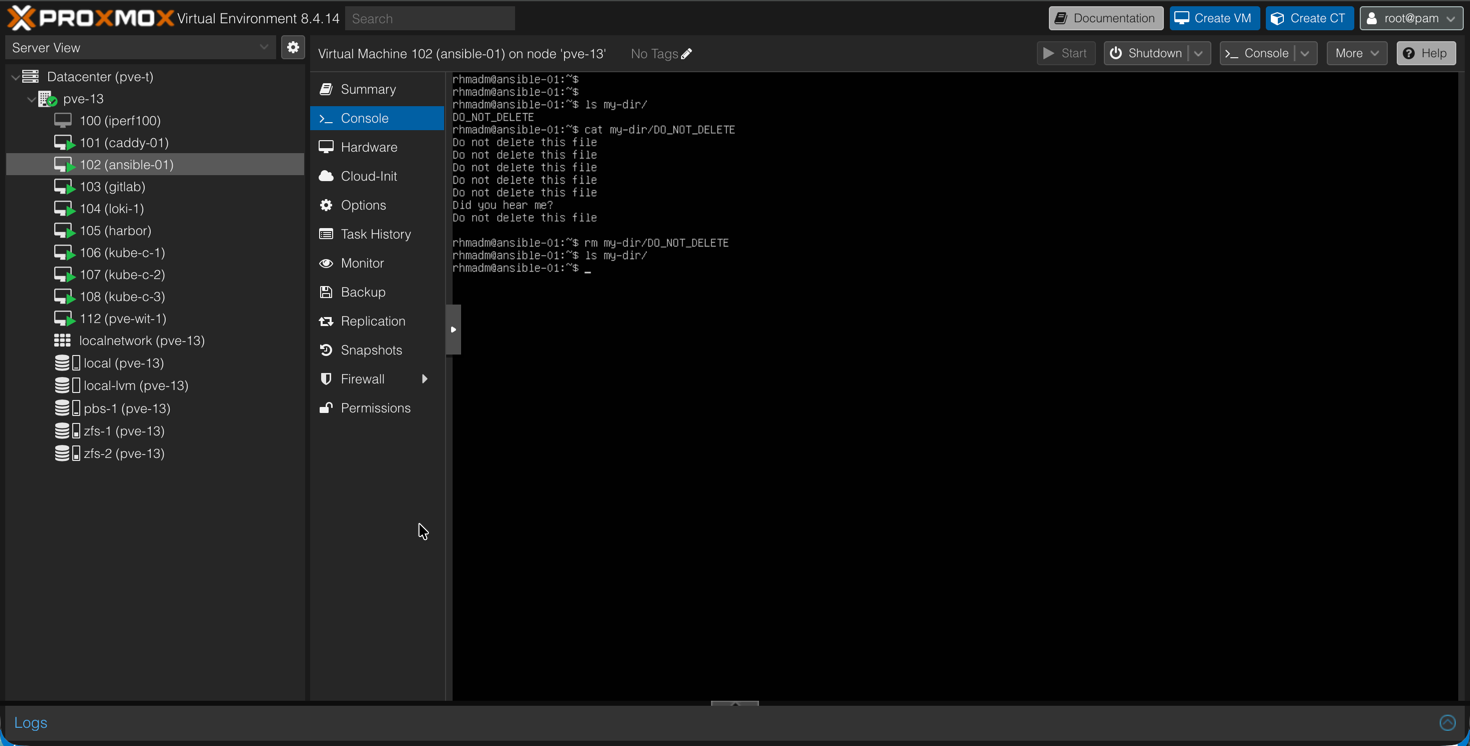 Delete file in VM
