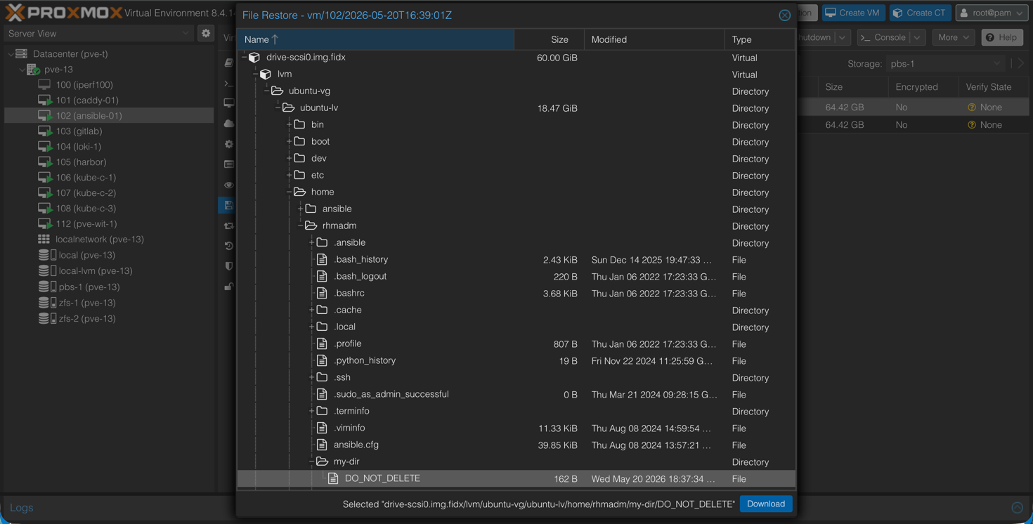 File level restore