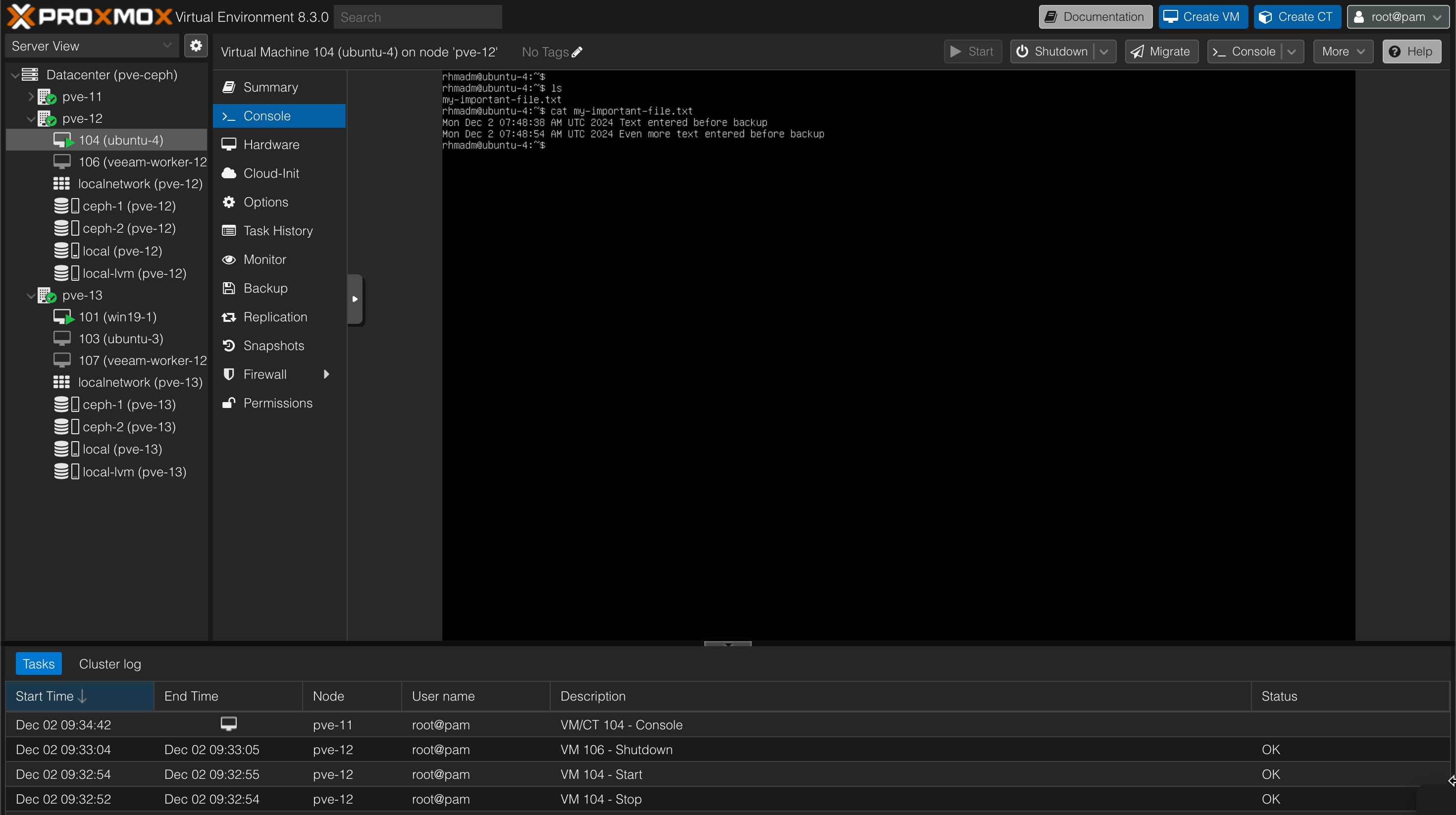 Verify restore of VM