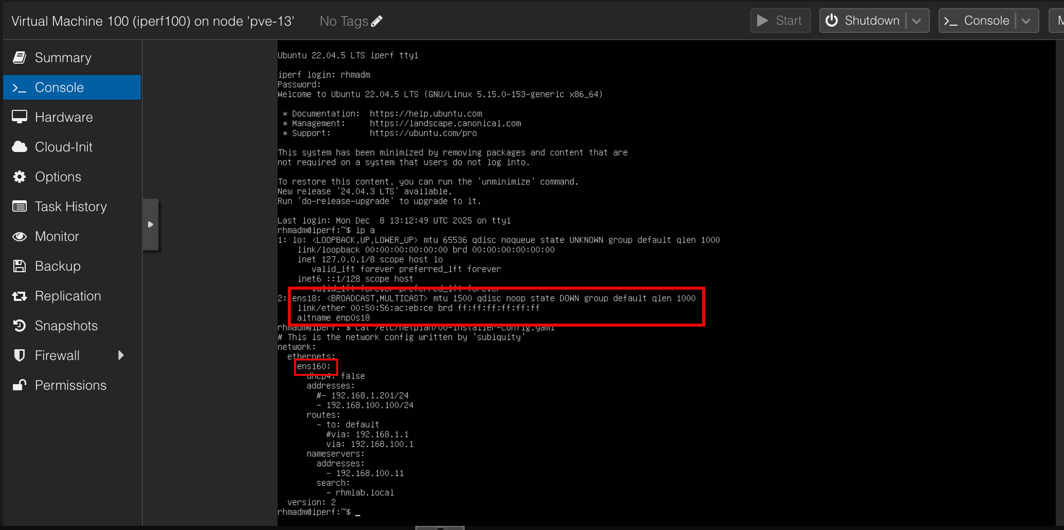 Network interface device name