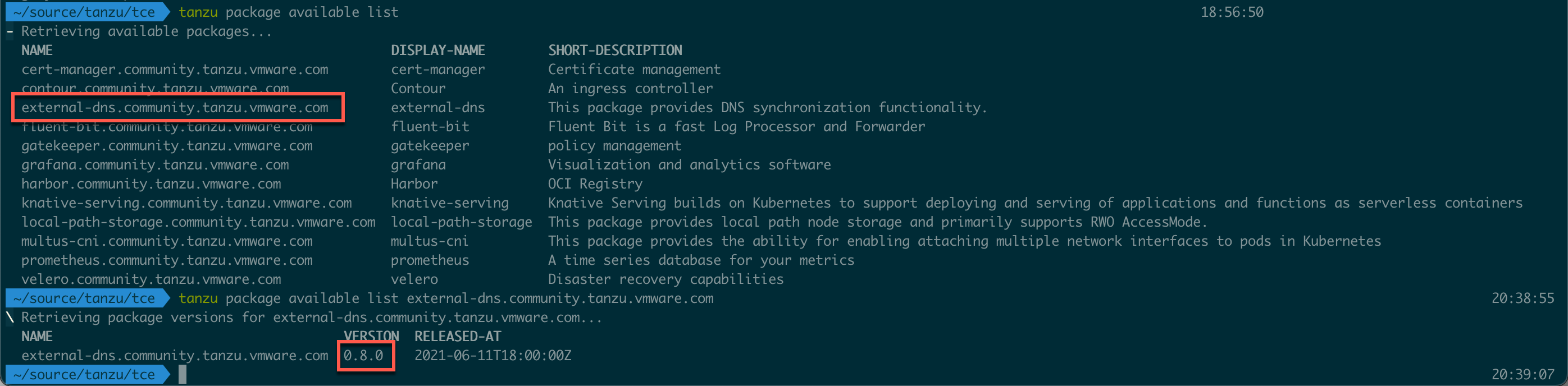 List packages and details for ExternalDNS