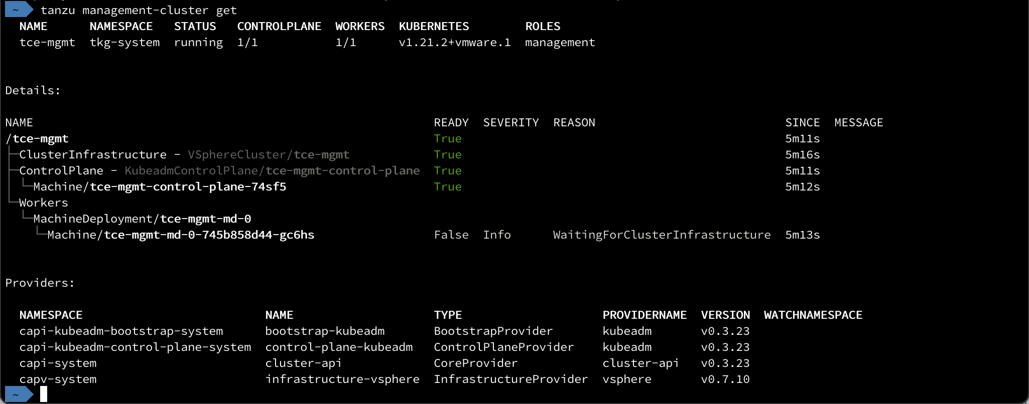 Tanzu management cluster details