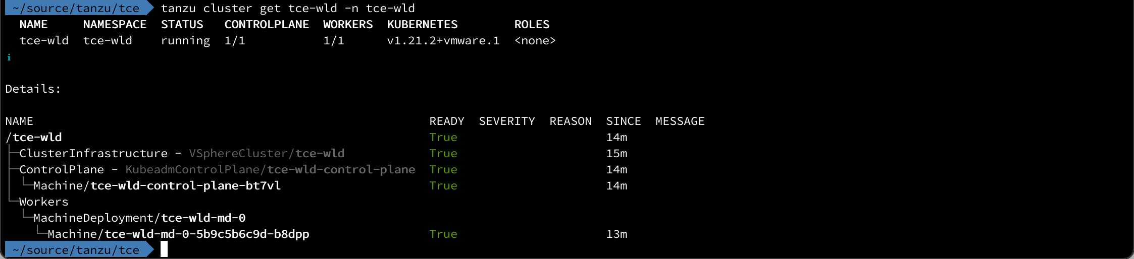 Workload cluster details