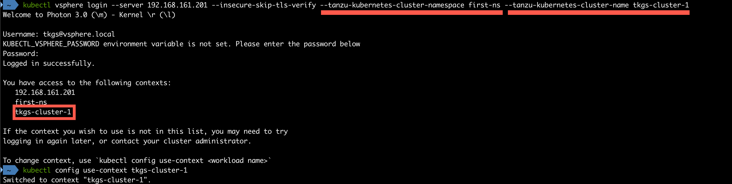 Logged in to the new Tanzu Kubernetes Cluster