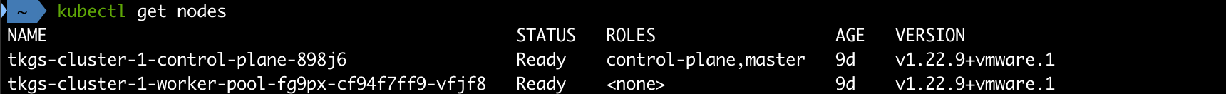 List Kubernetes cluster nodes