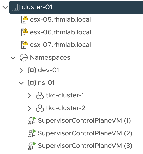 vSphere with Tanzu environment